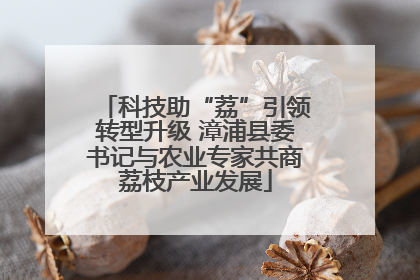 科技助“荔”引领转型升级 漳浦县委书记与农业专家共商荔枝产业发展
